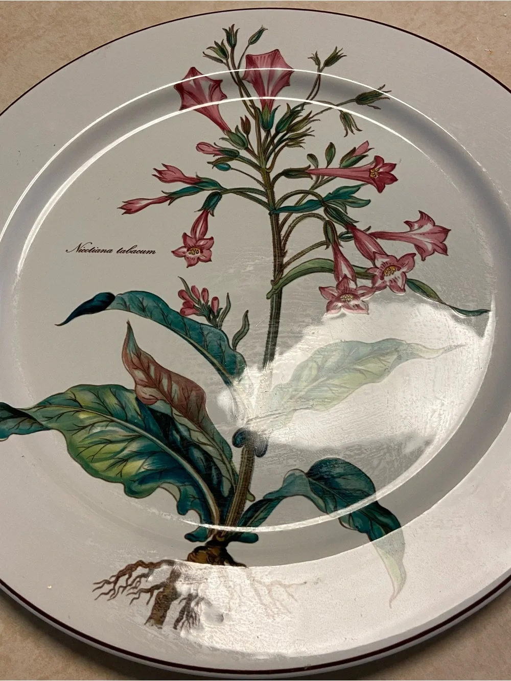 Villeroy & Boch Botanica Nicotiana Tabacum 12.5” Chop Plate Platter Porcelain  E